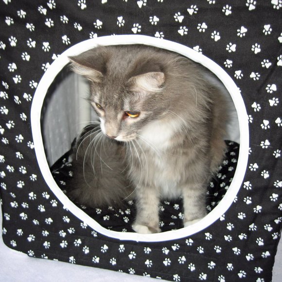 Cozy Cube Hideaway Pet Cave for Cat or Small Dog - Picture 7 of 7